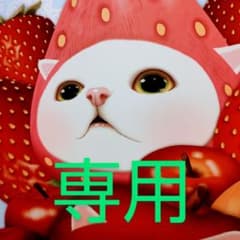 ちょこまる様専用のサムネイル