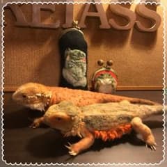羊毛フェルトのサムネイル