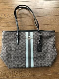 Coach トートバッグ 水色 ストライプのサムネイル