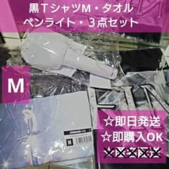 即日発送】ちゃんみなグッズ Tシャツ黒М ペンライト タオル 3点