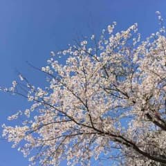 専用のサムネイル