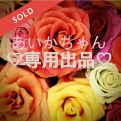 専用ページのサムネイル
