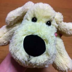 小犬のる〜く LOUKのサムネイル