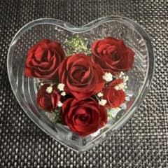 m94572602992_1.jpg?1756632616