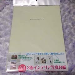 がんちゃん様専用 3面インテリア 写真台紙のサムネイル