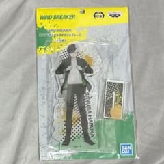 [익명 발송]WIND BREAKER 스탠드 첨부 빅 아크릴 플레이트 벚꽃 하루카