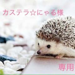 カステラ☆にゃる様 専用ページのサムネイル