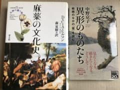 麻薬 文化 美術のサムネイル