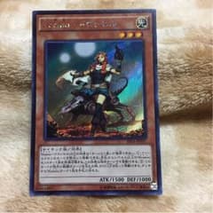 コスモ ドロッセルのサムネイル