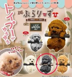 ぶらぶらりーず　トイプードル(ブラック)のサムネイル