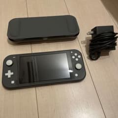 Nintendo Switch ライトグレー　フリップカバー付きのサムネイル