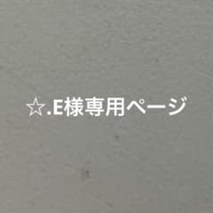 ☆.E様専用ページのサムネイル
