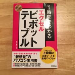 1時間でわかるエクセルピボットテーブルのサムネイル