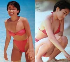 ② 西田ひかる 1988年〜1997年 大量 切り抜き ファイル 2冊 120P