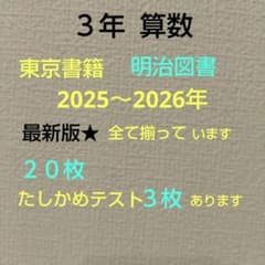 カラーテスト 3年 算数 東京書籍 明治図書 最新版 2025～2026年