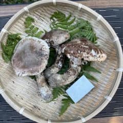 【交渉可】信州産 採りたて松茸 219gのサムネイル