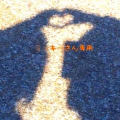 ミッキー様専用のサムネイル