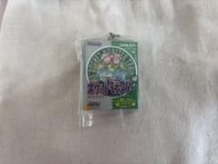 ポケモンパッケージ＆カートリッジキーホルダーコレクション 1996-2002緑のサムネイル