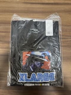 XLARGE STRANGER THAN HEAVEN Tシャツのサムネイル
