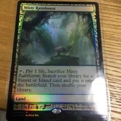 MTG 霧深い雨林/misty rainforestのサムネイル