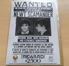 Fantastic Beasts Newt Scamander Poster