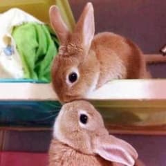 みーやん様(^-^)のサムネイル