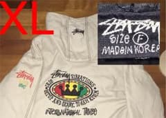 ★入手困難‼️最終値下げ 90's STUSSY  ラスタfeelin irieのサムネイル
