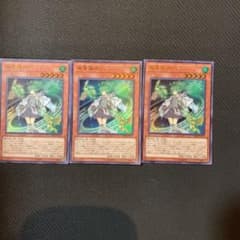 遊戯王 風霊媒師ウィン　3枚のサムネイル