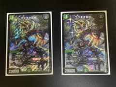 ブラキオ龍樹　2枚のサムネイル