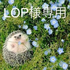 バトスピ  カノンのサムネイル