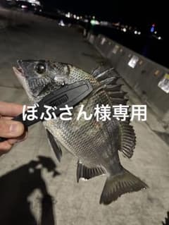 ぼぶさん様専用になります。のサムネイル