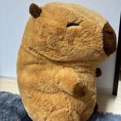 超ドでかい！カピバラさん ぬいぐるみ - メルカリ