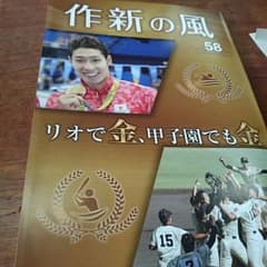 作新の風のサムネイル