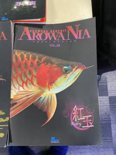 アロアナグラフィック　各種のサムネイル