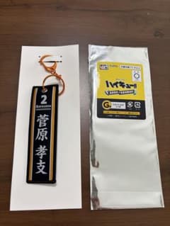 ハイキュー!! タイトーくじ　G賞　菅原孝支 フライトタグ キーホルダーのサムネイル