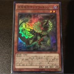 捕食植物サンデウキンジのサムネイル