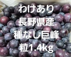 わけあり長野県産種なし巨峰粒1.4kgのサムネイル