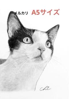 猫さん❤️ ネコ ねこ 原画 鉛筆画 絵画 手描き イラスト A5