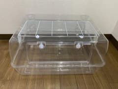 ルーミィ60などのサムネイル