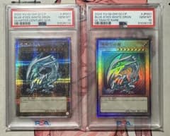 【連番】遊戯王 青眼の白龍 レリーフ 25thレア クオシク PSA10 連番】遊戯王 青眼の白龍 レリーフ 25thレア クオシク PSA10 - メルカリ