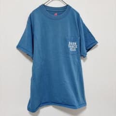 Hanes T-shirt, crew neck, short sleeve, printed, size M, blue, cotton, casual, travel.