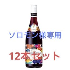 ソロモン ボジョレーヌーヴォー 12本セット ソロモン様専用 ボジョレーヌーヴォー 12本セット - メルカリ