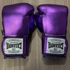 新品未使用】CASANOVA カサノバ ボクシング グローブ 本革 8oz 紫