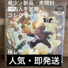 【最终値下】 Braid ブレイド サウンドトラック レコード 未開封
