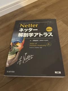 ネッター 解剖学アトラス　第6版のサムネイル