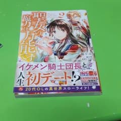 聖女の魔力は万能です 2のサムネイル