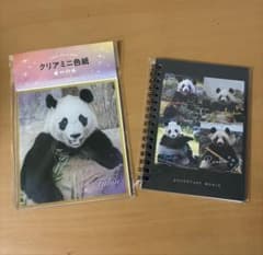 アドベンチャーワールド パンダ 楓浜クリアミニ色紙＆パンダファミリー