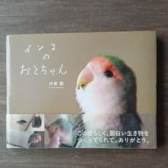 インコのおとちゃんのサムネイル