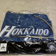ファイターズ スカイブルーユニフォーム 無地 Lサイズのサムネイル