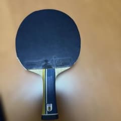 張本zlcのサムネイル